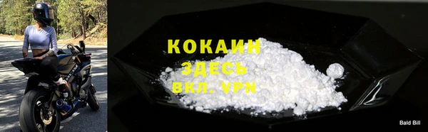 стаф Кукмор