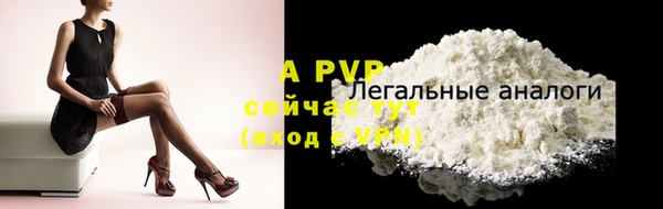 стаф Кукмор