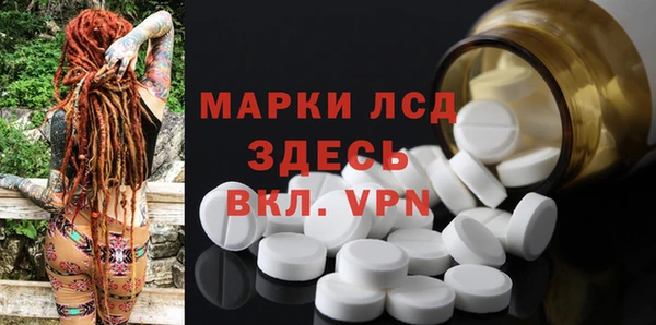 стаф Кукмор