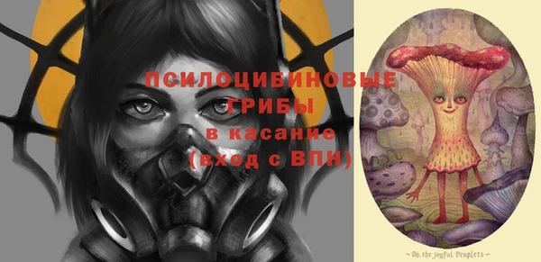 стаф Кукмор
